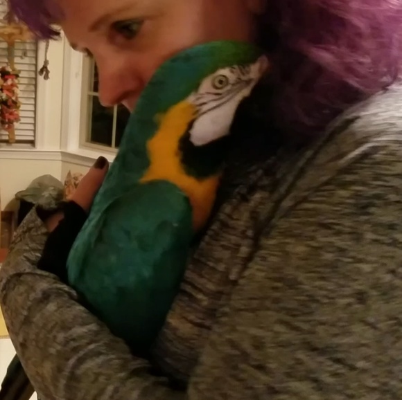 MEET THE POSHER - Picture 6 of 8